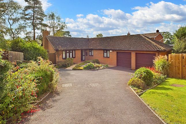 Thumbnail Bungalow for sale in The Pippins, Wilton, Ross-On-Wye, Herefordshire