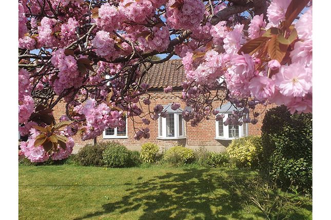 50, Station Road, Spalding photo 4