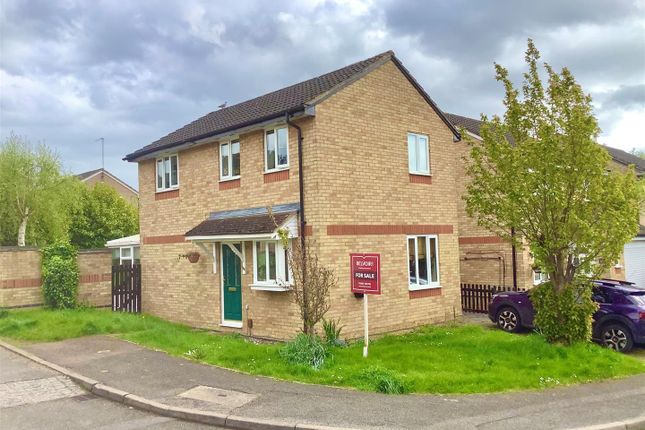 Thumbnail Detached house for sale in South Copse, Northampton