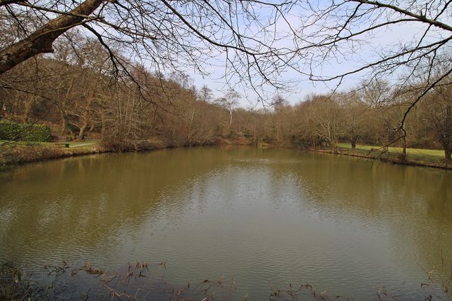 Grounds
