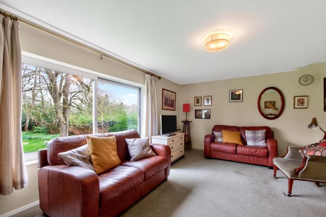 50, Nunthorpe Avenue, York photo 3