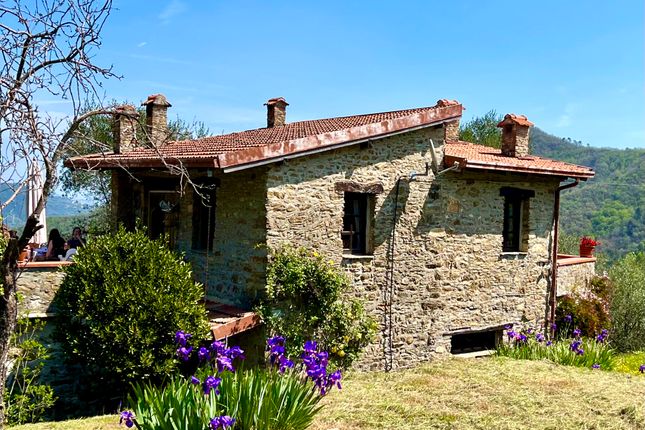 Thumbnail Country house for sale in Frazione Poggio Bottaro, Testico, Savona, Liguria, Italy