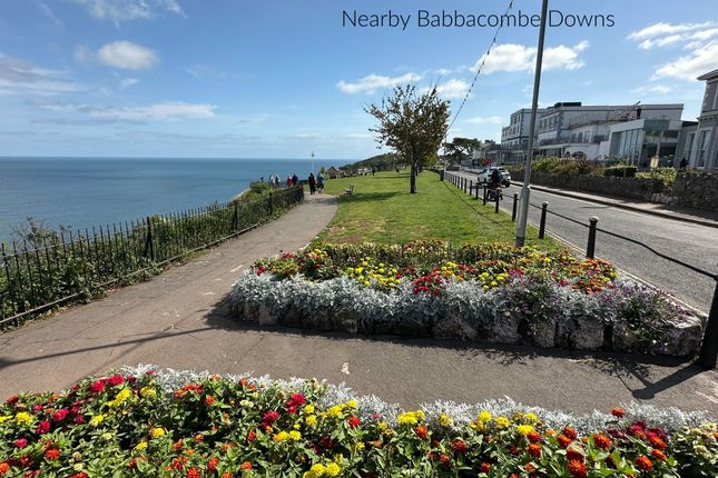 May Cottage, Torquay photo 2