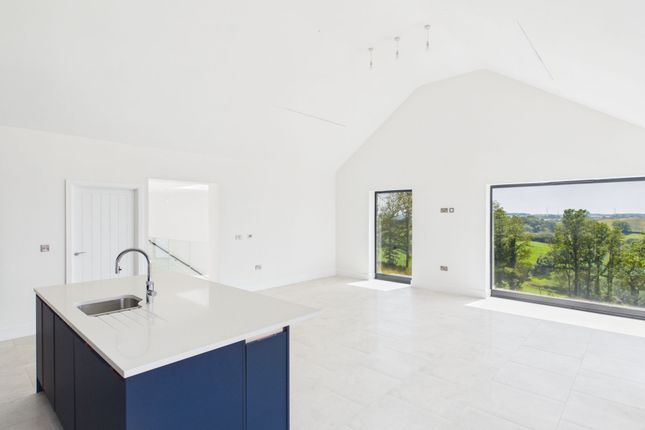 Mucklow's View, Whitstone, Holsworthy photo 4