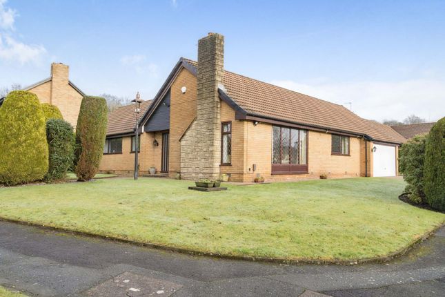 Thumbnail Detached bungalow for sale in Briksdal Way, Bolton