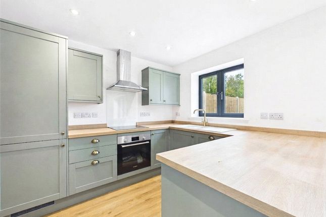 Pesthouse Lane, Ipswich photo 4