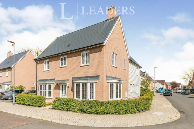 Thumbnail Detached house to rent in Cinder Street, Colchester