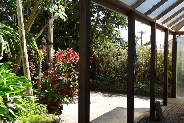 Deck To Garden