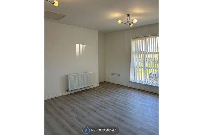 Olive Way, Red Lodge, Bury St. Edmunds photo 3