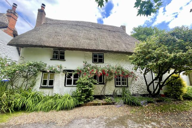Thumbnail Detached house for sale in Orcheston, Salisbury