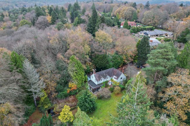 The Roses, Farnham Lane, Haslemere photo 2