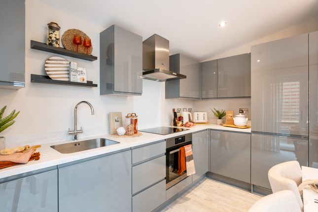 560, Off Cherry Hinton Road, Cherry Hinton photo 4