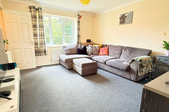7 Corsican Pine Close, Newmarket photo 4
