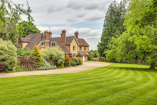 Detached house to rent in Hall Hill, Oxted, Surrey