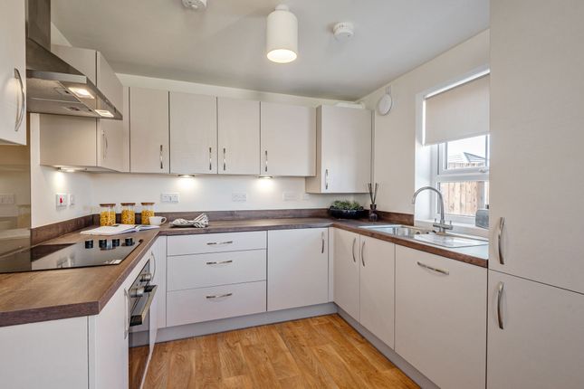 52, Meadow Hill, Newcastle upon Tyne photo 4