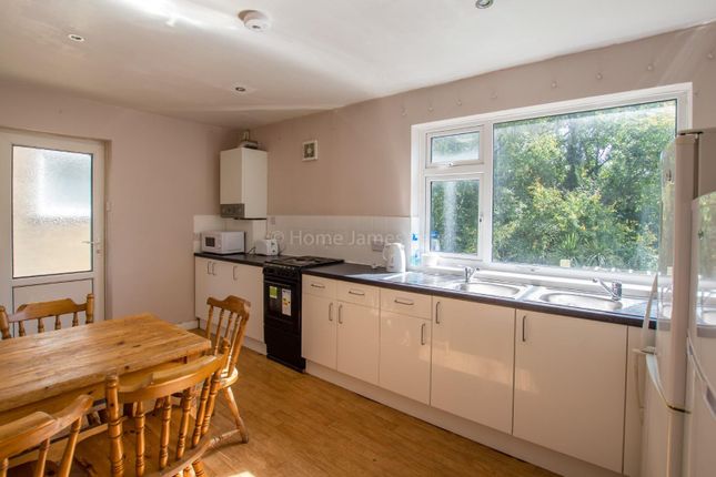 Thumbnail Detached house to rent in Crespin Way, Brighton