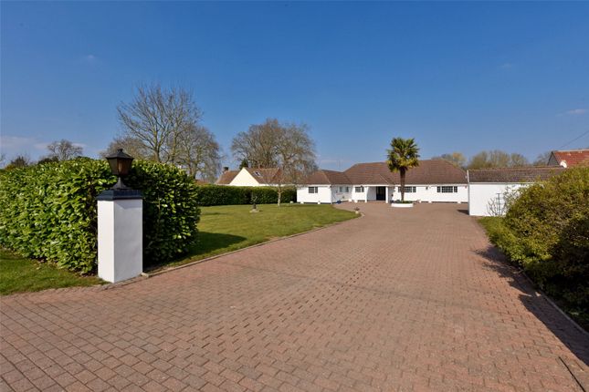 Thumbnail Bungalow to rent in Down Place, Water Oakley, Windsor, Berkshire