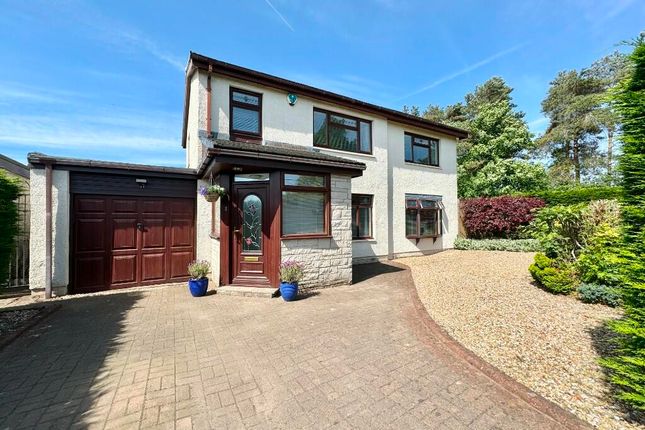 Thumbnail Detached house for sale in Kenmure Place, Larbert