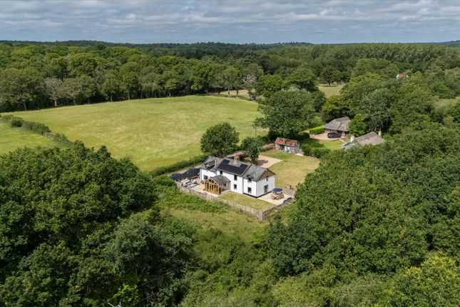 Little Bookham Common, Leatherhead photo 2