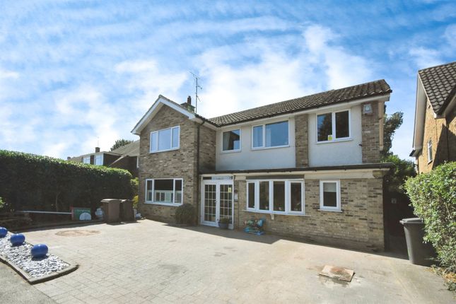 Thumbnail Detached house for sale in Coppins Close, Springfield, Chelmsford