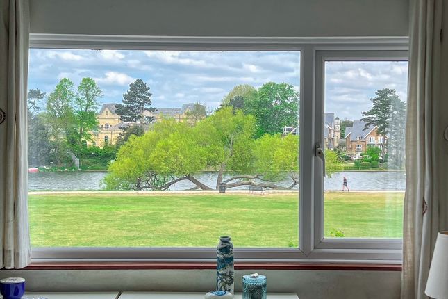 Buckingham Gardens, West Molesey photo 2