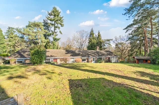 27, High View Road, Lightwater photo 4