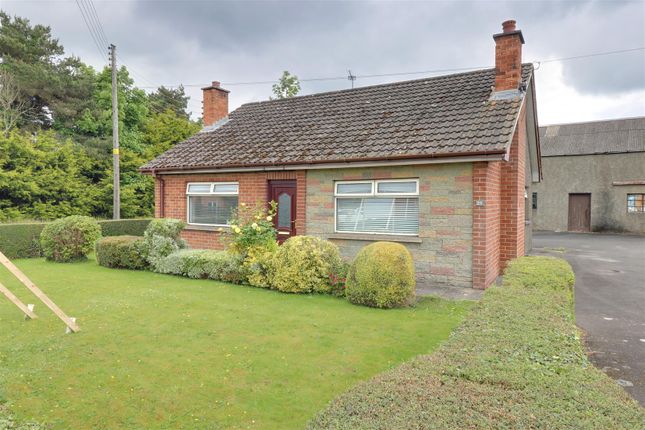 Thumbnail Bungalow for sale in 25 Manse Road, Carrowdore, Newtownards