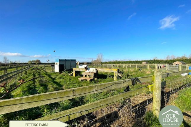 Paddocks And Animal Housing