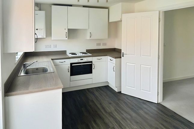 65, Coberley Drive, Salisbury photo 5