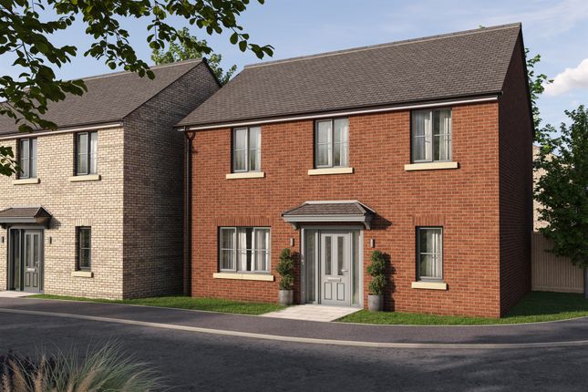 Thumbnail Detached house for sale in Lime Walk, Long Sutton, Spalding