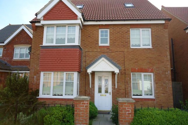 Thumbnail Detached house to rent in Rothbury Drive, Ashington