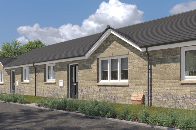 2-bed house on The Angus - Plot 73, West Craigs, Craigs Road, Maybury, £380,000