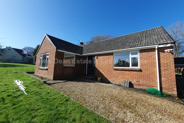 Detached bungalow to rent in Lytchett Matravers, Poole, Dorset