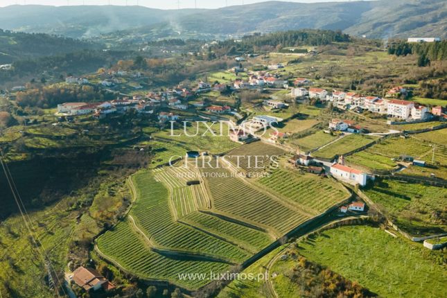 Farmhouse for sale in Vila Nova De Souto D'el-Rei, 5100 Lamego, Portugal