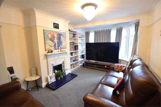 Orpington photo 2