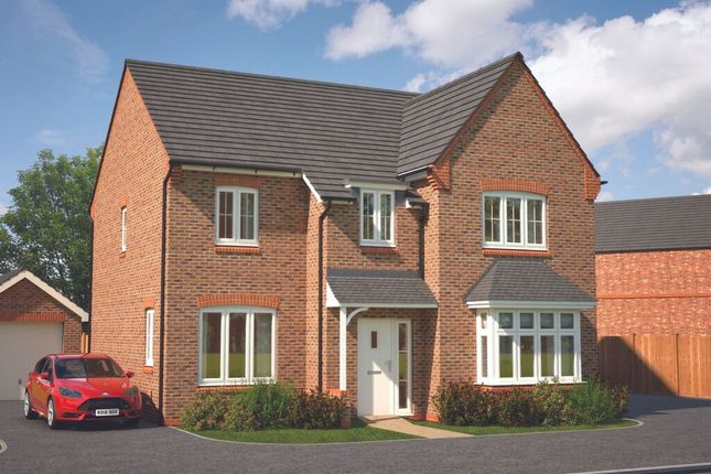 Detached house for sale in "Birch" at Marigold Place, Stafford