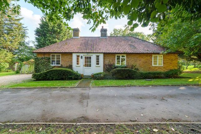 Detached bungalow for sale in Steep Hill, Chobham, Woking