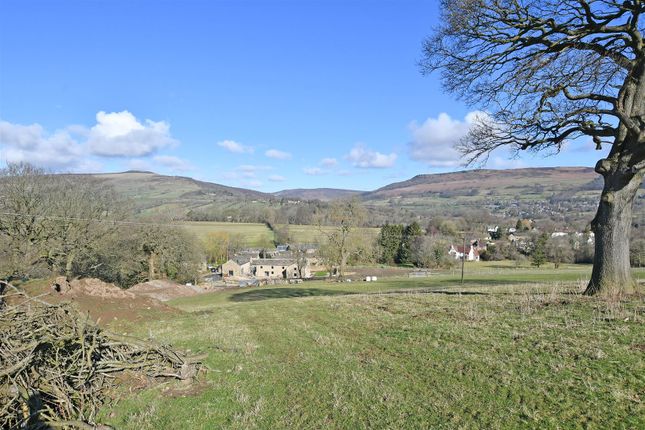 Dsc_2733.Jpg