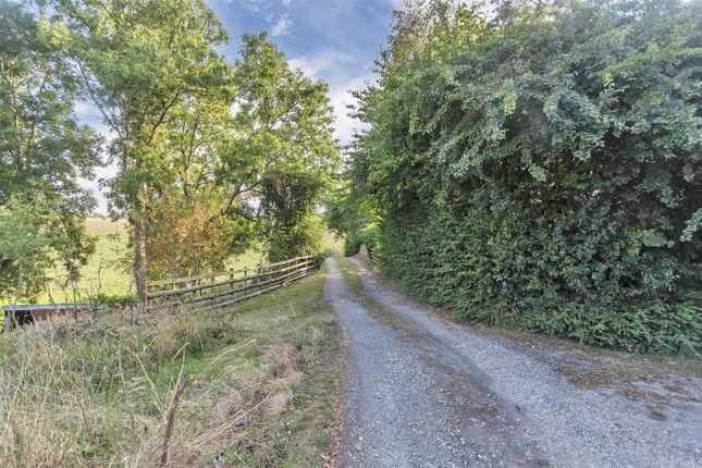 Driveway And Parking