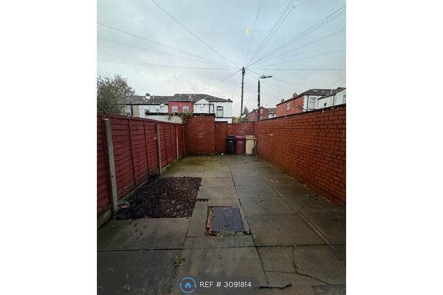 Bolton photo 4