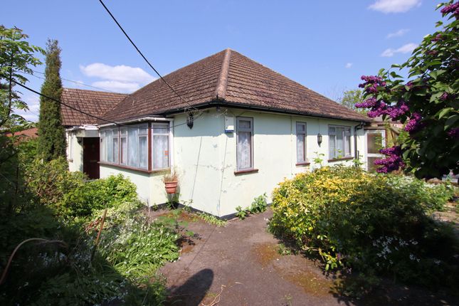 Thumbnail Bungalow for sale in Woodmere Avenue, Croydon