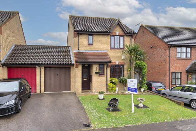 Thumbnail Detached house for sale in Scholey Close, Halling, Rochester