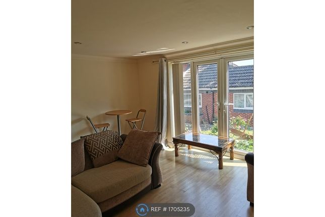 Thumbnail Flat to rent in Gloucester Street, Sheffield