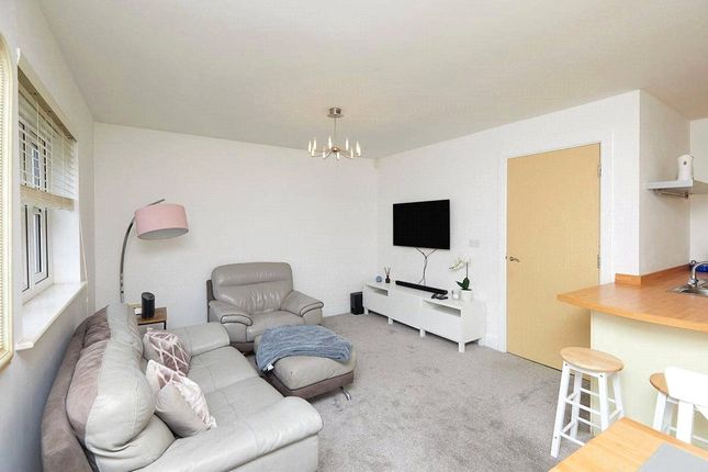 56, Badgerdale Way, Derby photo 3