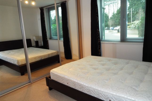 Apt 453, Nottingham photo 4
