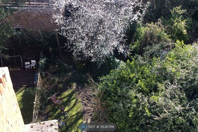 View To Garden