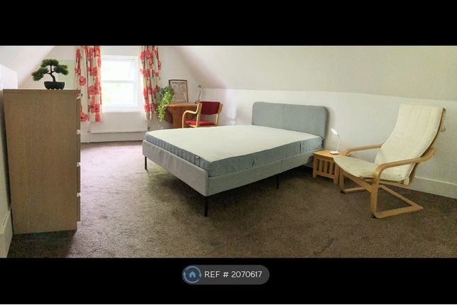 Room to rent in Dogsthorpe Road, Peterborough