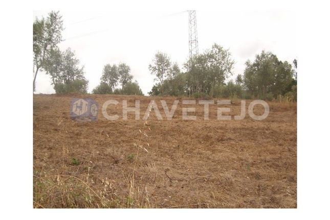 Land for sale in Delongo, Paialvo, Tomar
