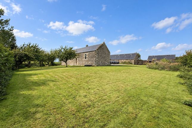 Peatland Farm, Kilmarnock photo 3