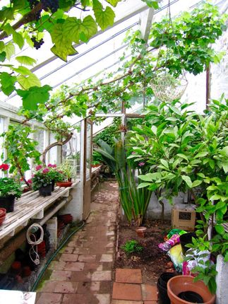 Greenhouse